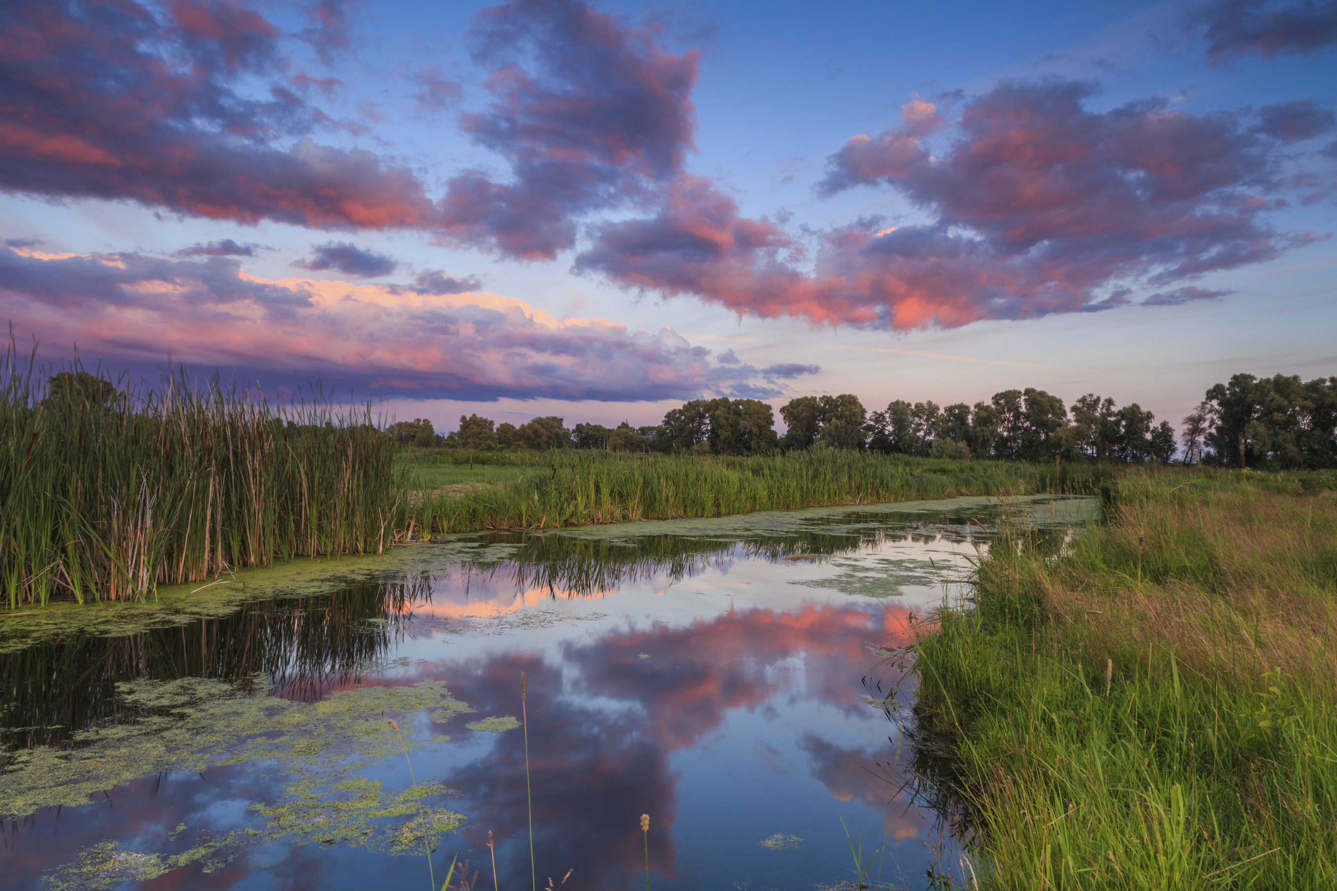 Sensitive wetland areas are protected under several state and federal programs and laws.