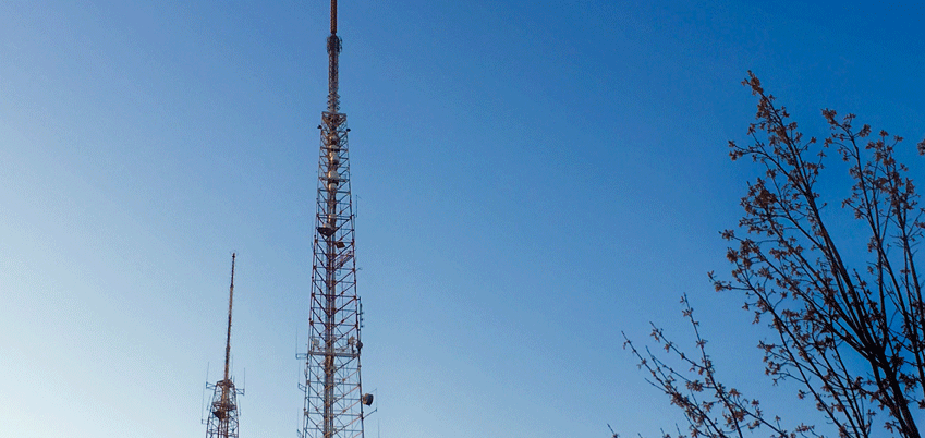 Incentive Auction Splash Image - picture of a cell tower and tree